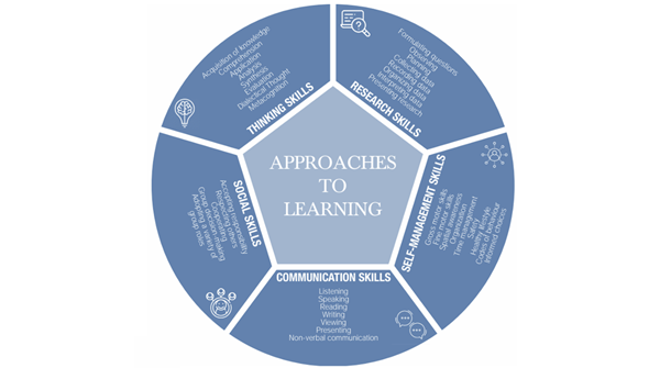 body-lower-grade-1-grade-5